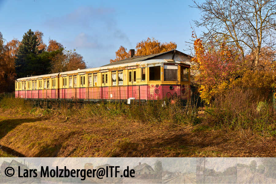 Im schönsten herbstlichen Morgenlicht an der ehemaligen Ladestelle Lübars. Foto 10. November 2019 Lars Molzberger